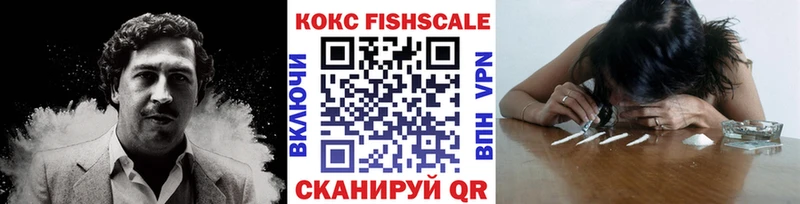 Cocaine FishScale Краснослободск