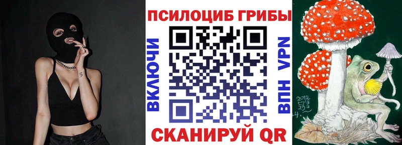Купить  Краснослободск  Псилоцибиновые грибы Psilocybe 